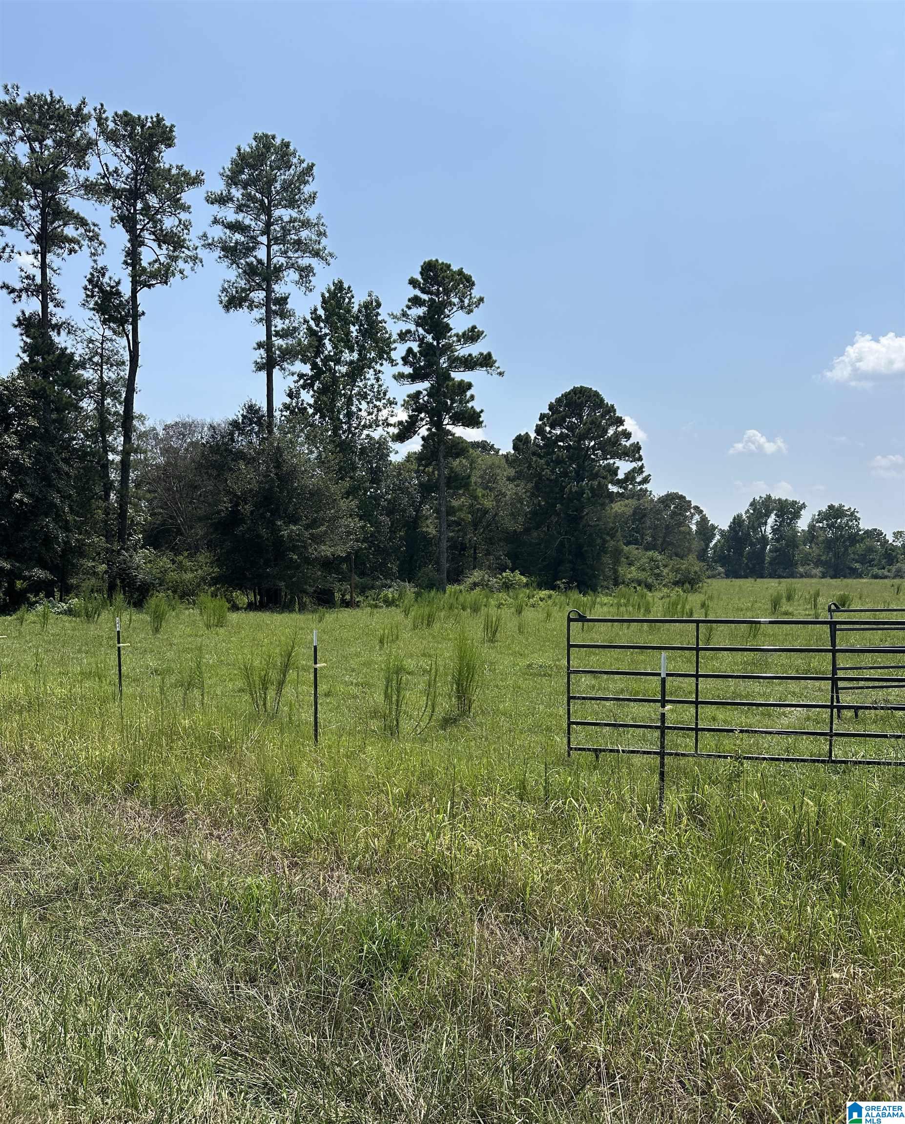 9500 Cato Road, Unit 1 Warrior, AL 35180 - Photo 6 of 6