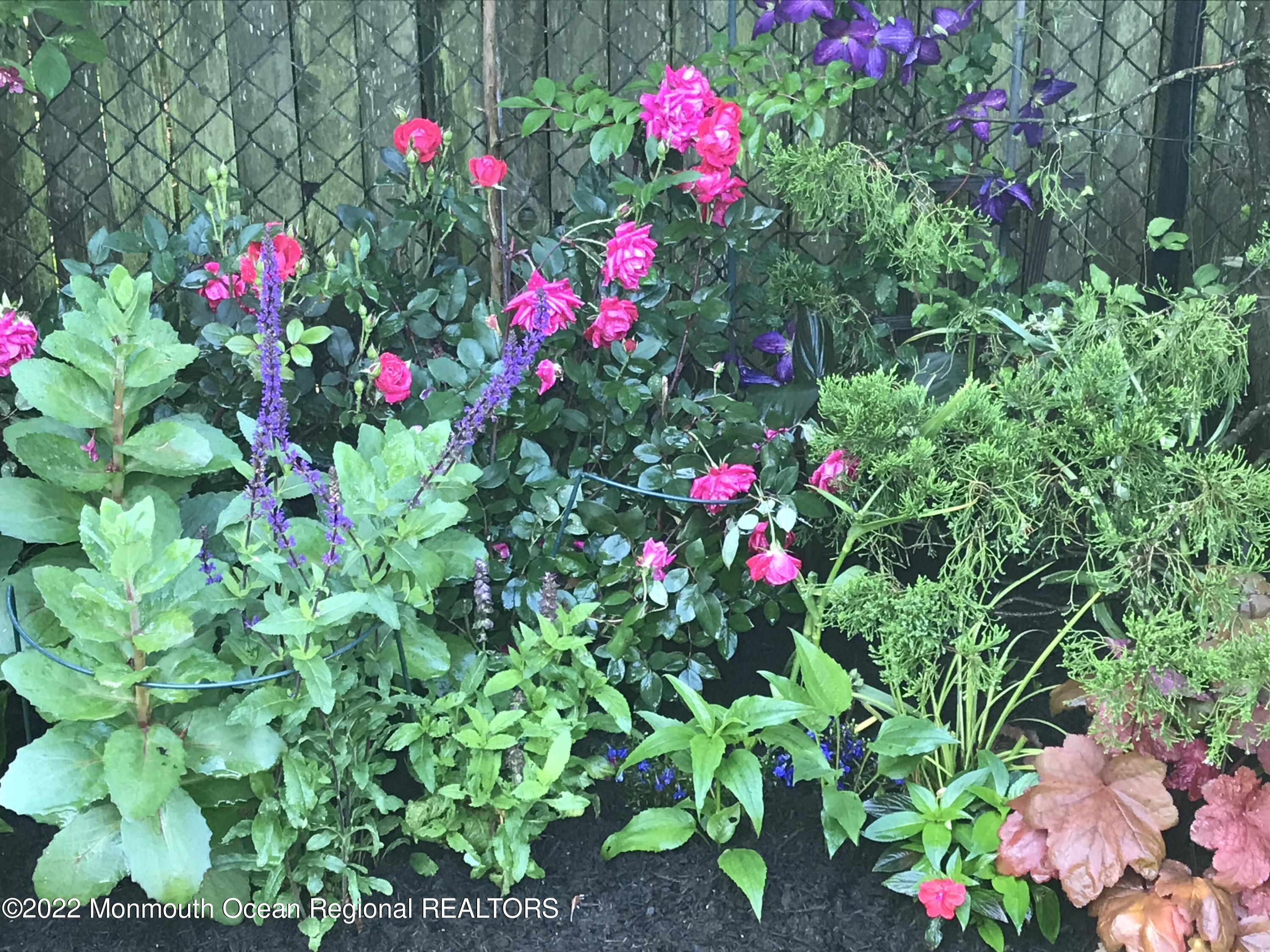 1715 J Street West Belmar, NJ 07719 - Photo 13 of 17 a small yard view