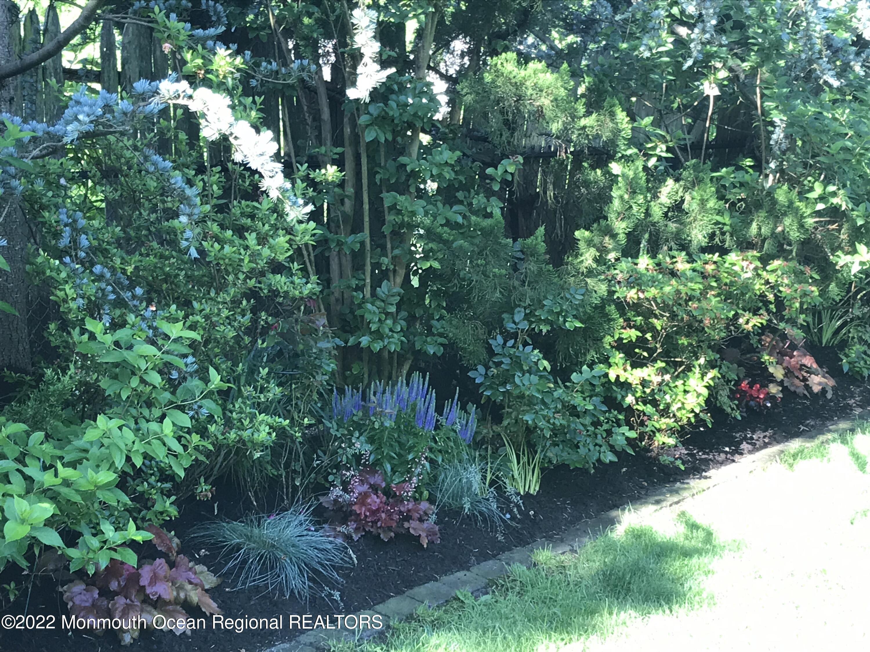 1715 J Street West Belmar, NJ 07719 - Photo 4 of 17 a view of a tree in a yard