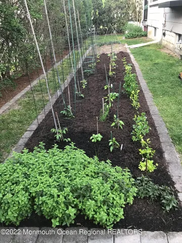a view of a house with large windows and flower plants