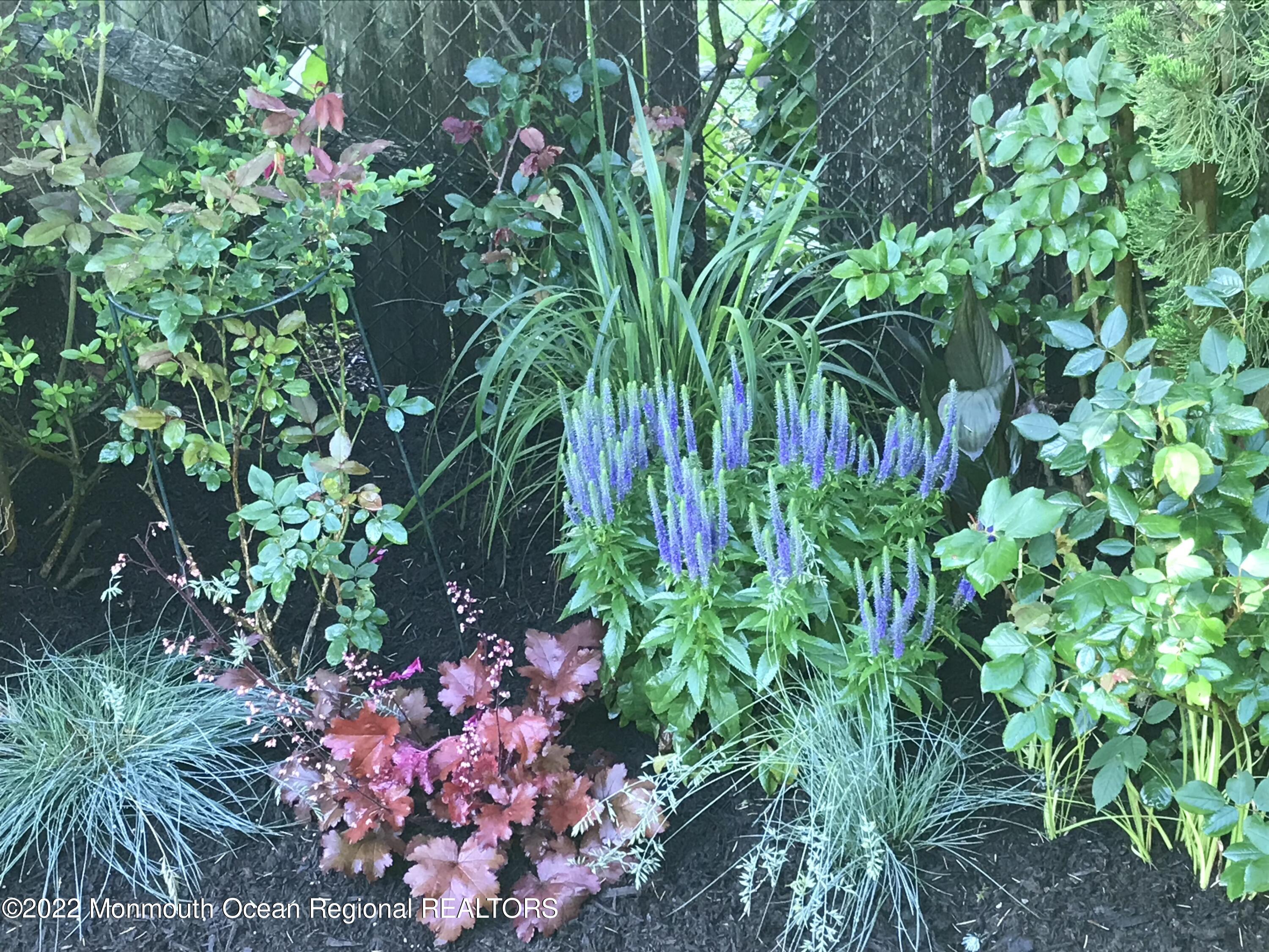 1715 J Street West Belmar, NJ 07719 - Photo 9 of 17