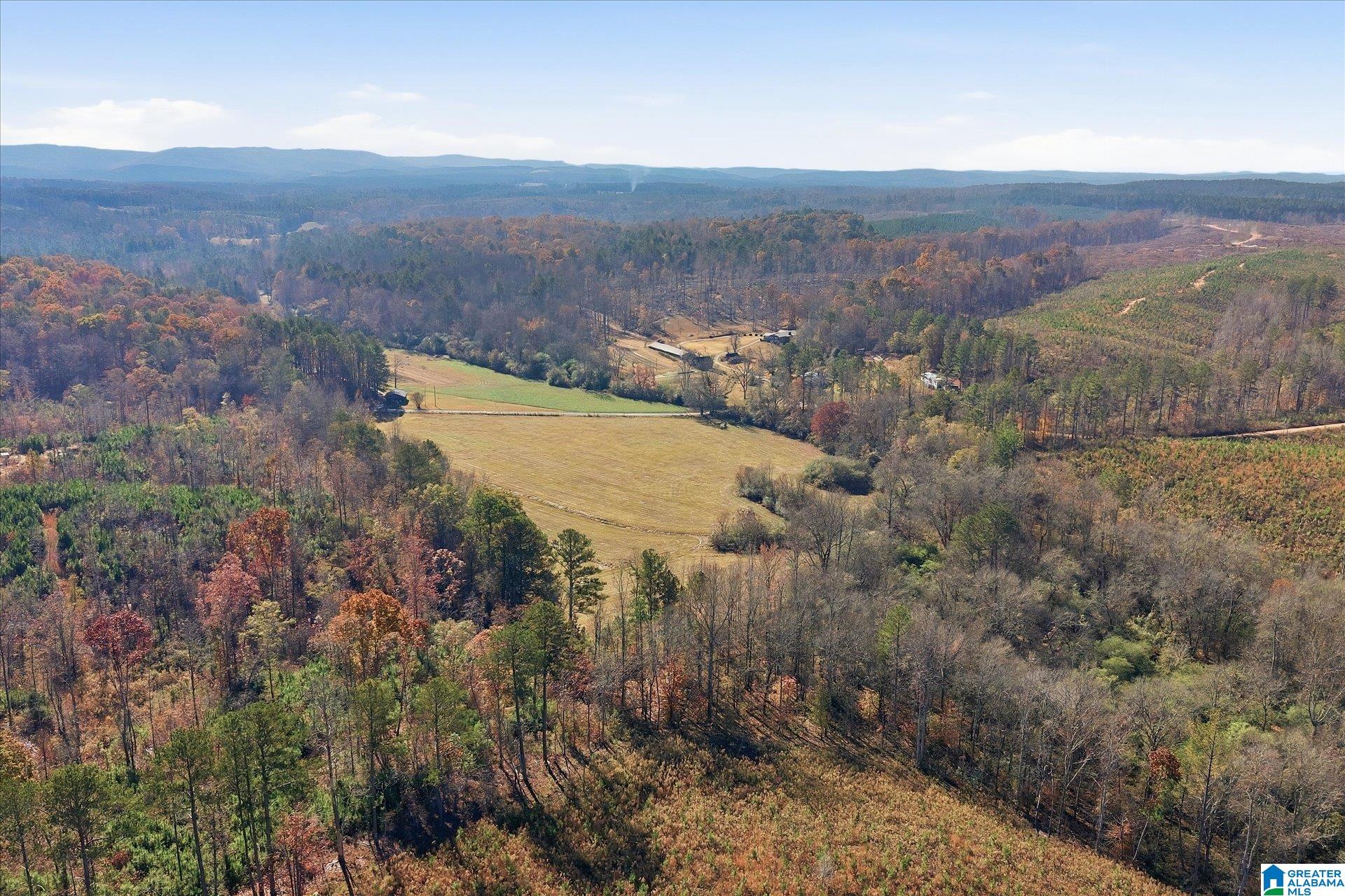 0 County Road 84 Heflin, AL 36264 - Photo 4 of 20