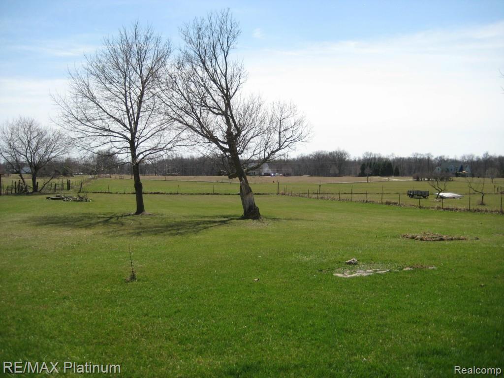 3715 West Schafer Road Pinckney, MI 48169 - Photo 19 of 21 Back Yard