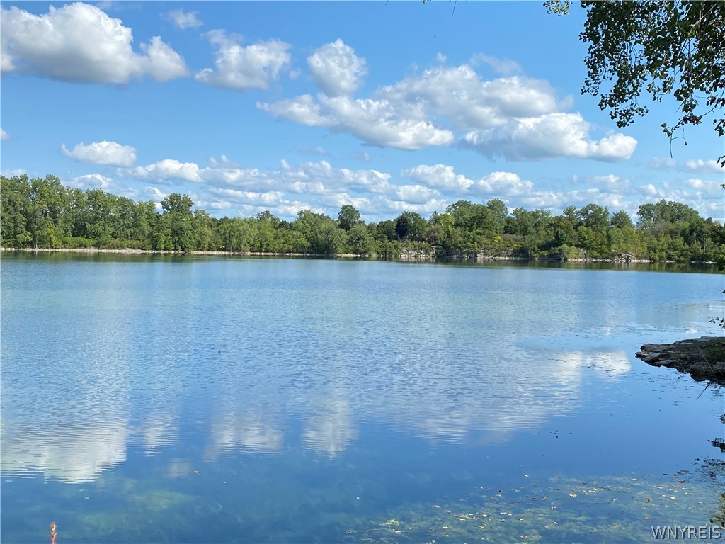 9566 Cobblestone Drive Clarence, NY 14031 - Photo 49 of 50