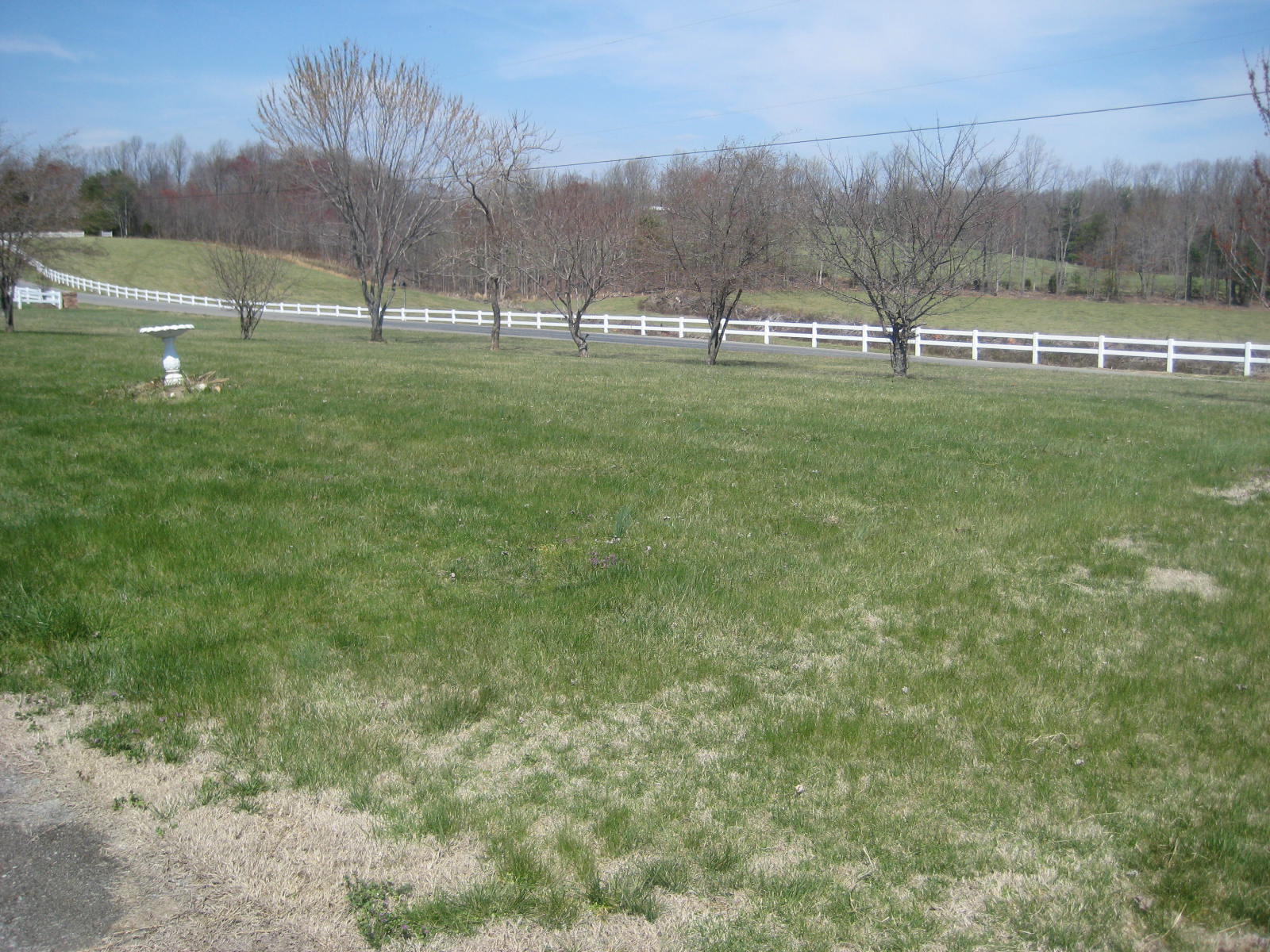 320 Edgewood Road Rocky Mount, VA 24151 - Photo 3 of 8 260 Orchard (4).JPG