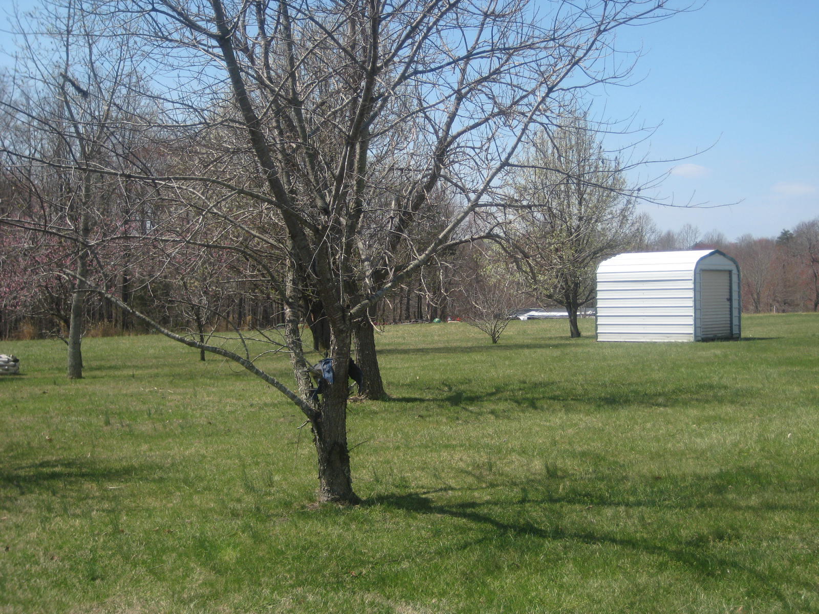 320 Edgewood Road Rocky Mount, VA 24151 - Photo 4 of 8 260 Orchard (5).JPG
