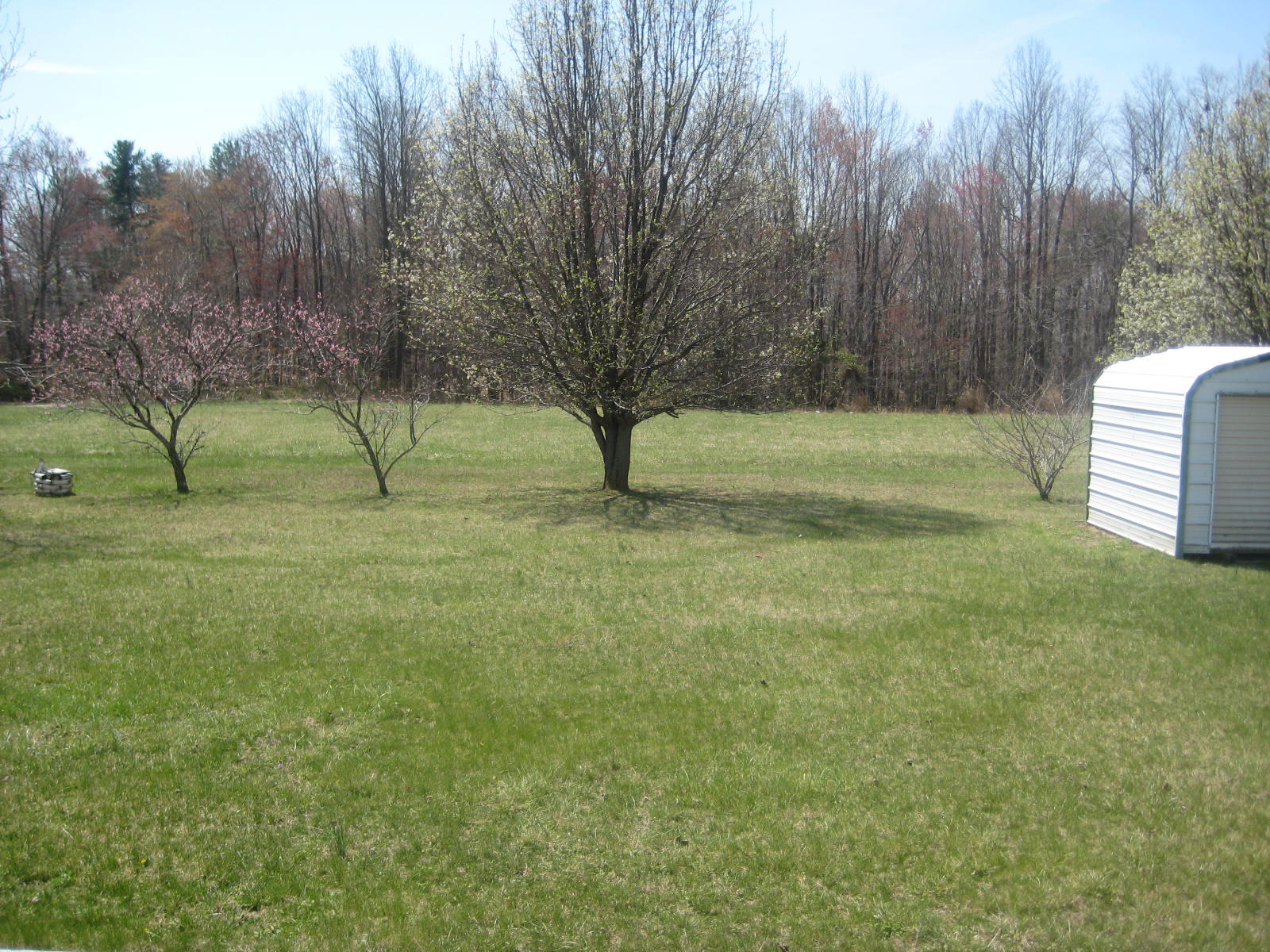 320 Edgewood Road Rocky Mount, VA 24151 - Photo 5 of 8 260 Orchard (6).JPG