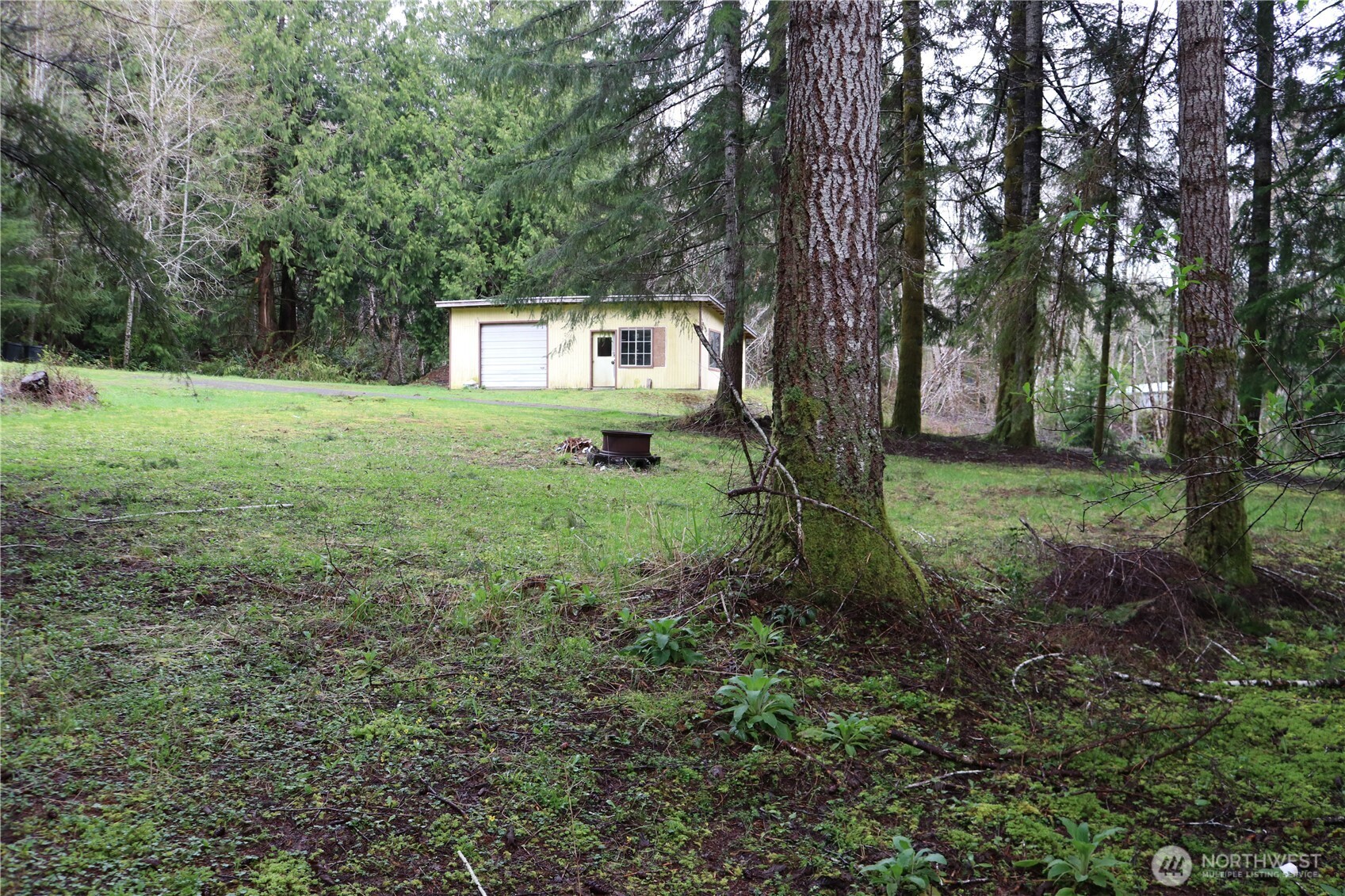 309 Powers Creek Road Elma, WA 98541 - Photo 13 of 21 a green field with lots of trees in it