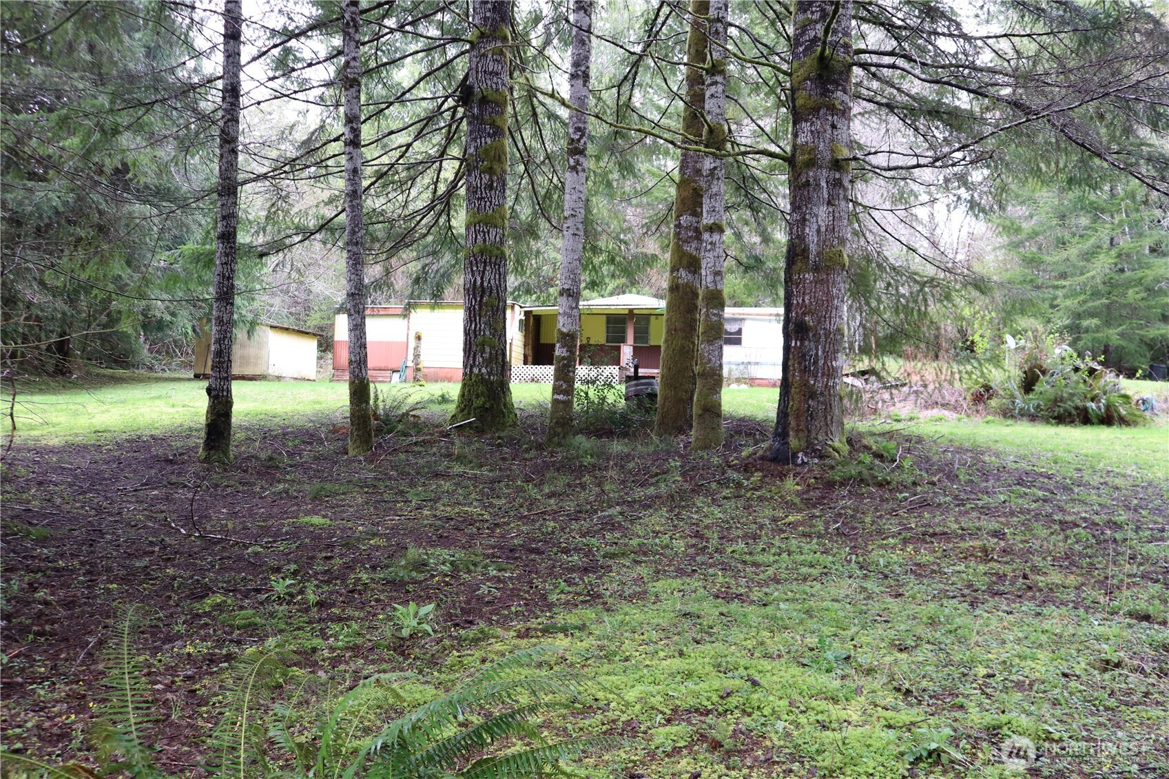 309 Powers Creek Road Elma, WA 98541 - Photo 14 of 21 a view of outdoor space with trees