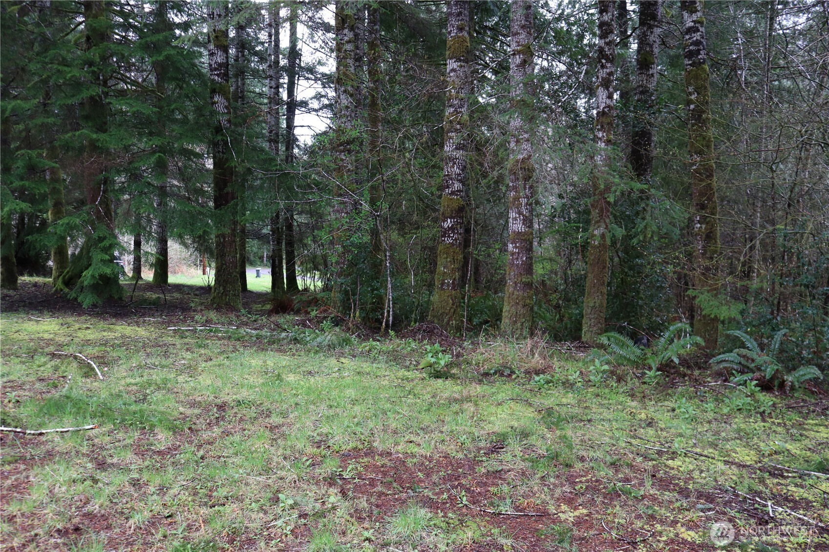 309 Powers Creek Road Elma, WA 98541 - Photo 15 of 21 a view of outdoor space with trees