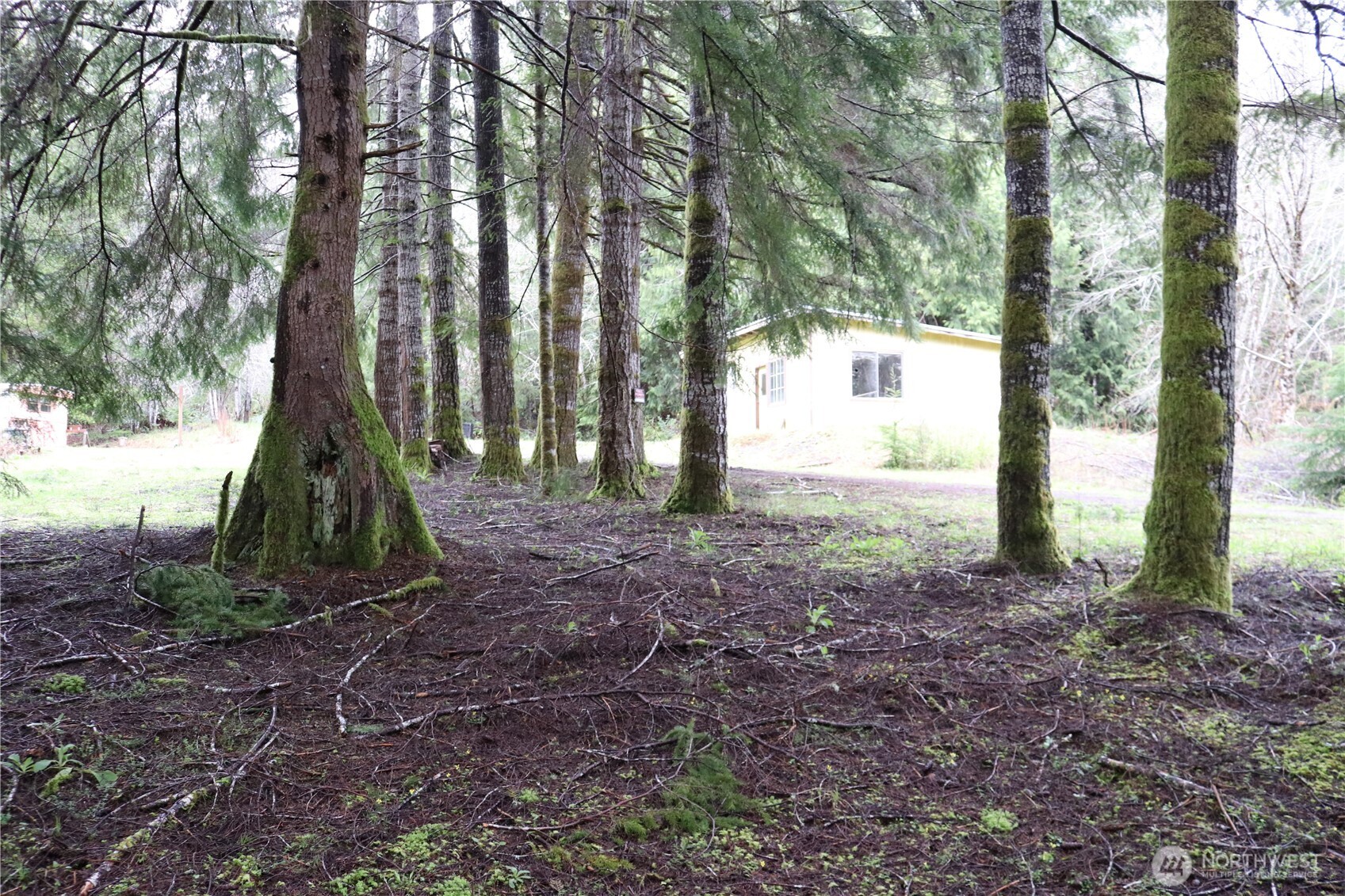 309 Powers Creek Road Elma, WA 98541 - Photo 19 of 21 a view of a yard with a tree