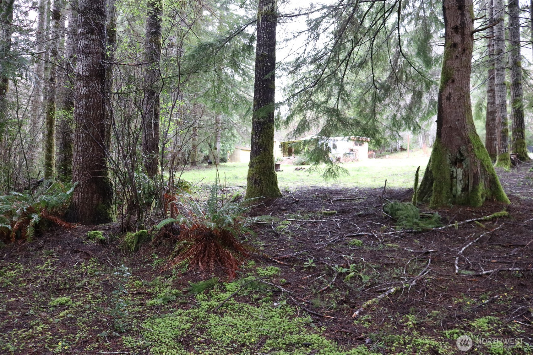 309 Powers Creek Road Elma, WA 98541 - Photo 20 of 21 a view of a yard