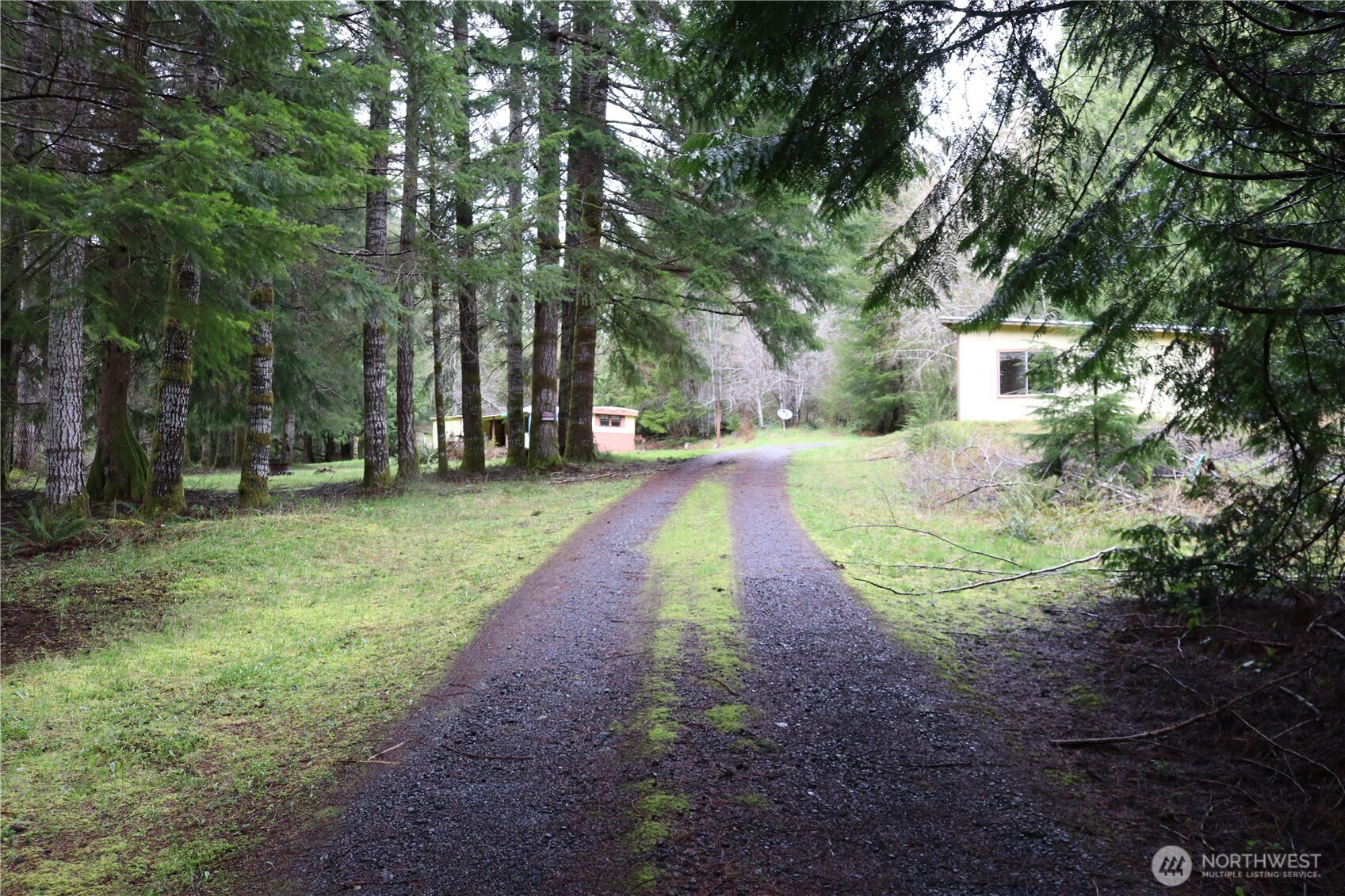 309 Powers Creek Road Elma, WA 98541 - Photo 2 of 21 a pathway of a house with a yard