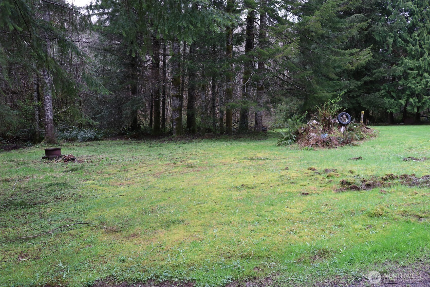 309 Powers Creek Road Elma, WA 98541 - Photo 7 of 21 a backyard of a house with lots of green space