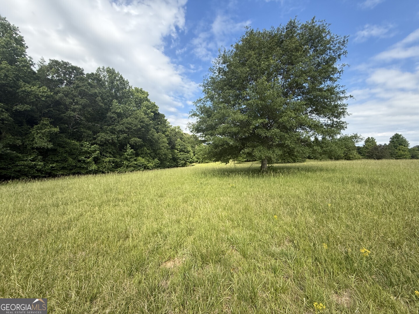 1298 Ray Weaver Road Canon, GA 30520 - Photo 33 of 40