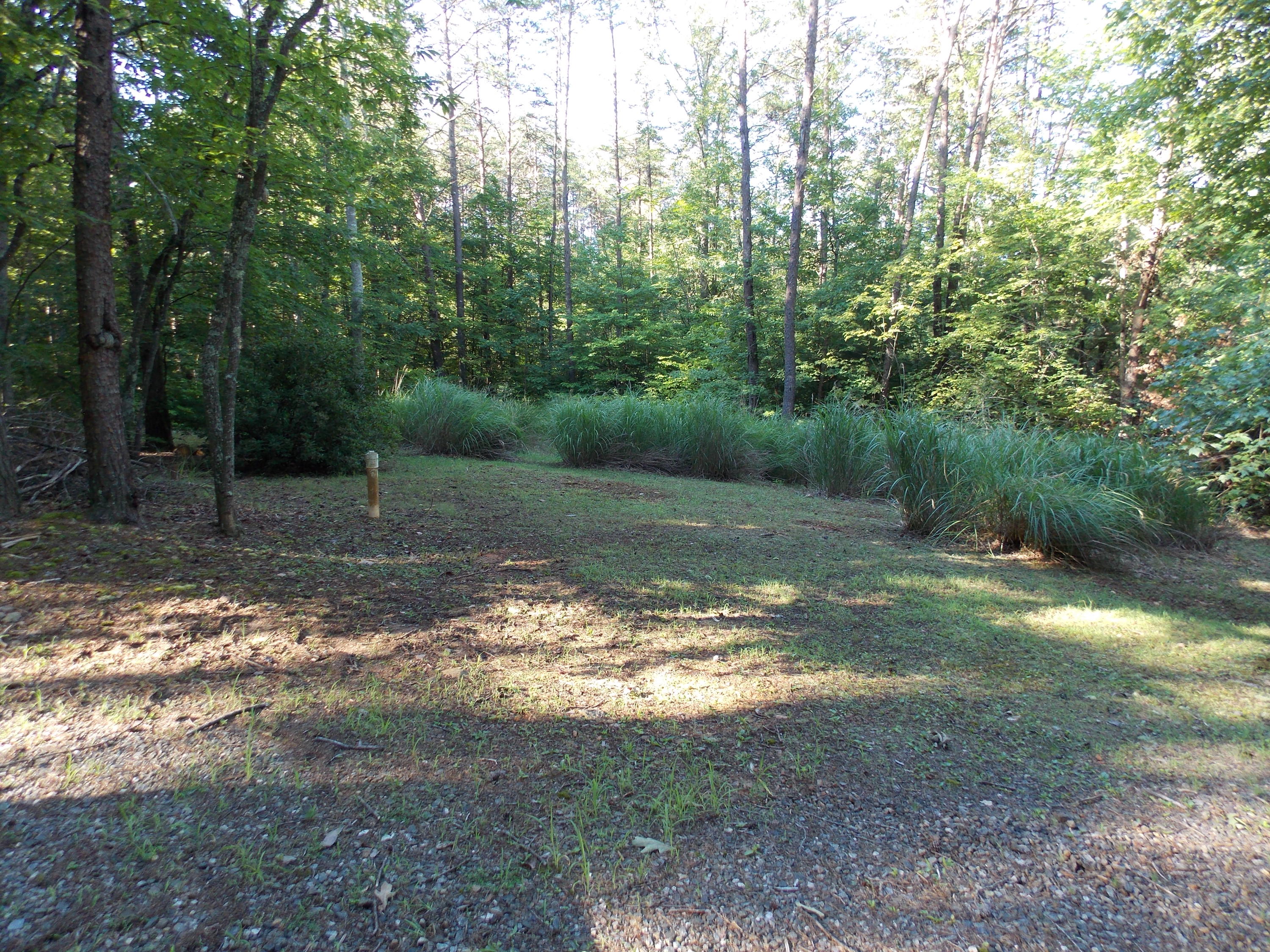 0 Union Church Road Ferrum, VA 24088 - Photo 11 of 33 DSCN9728