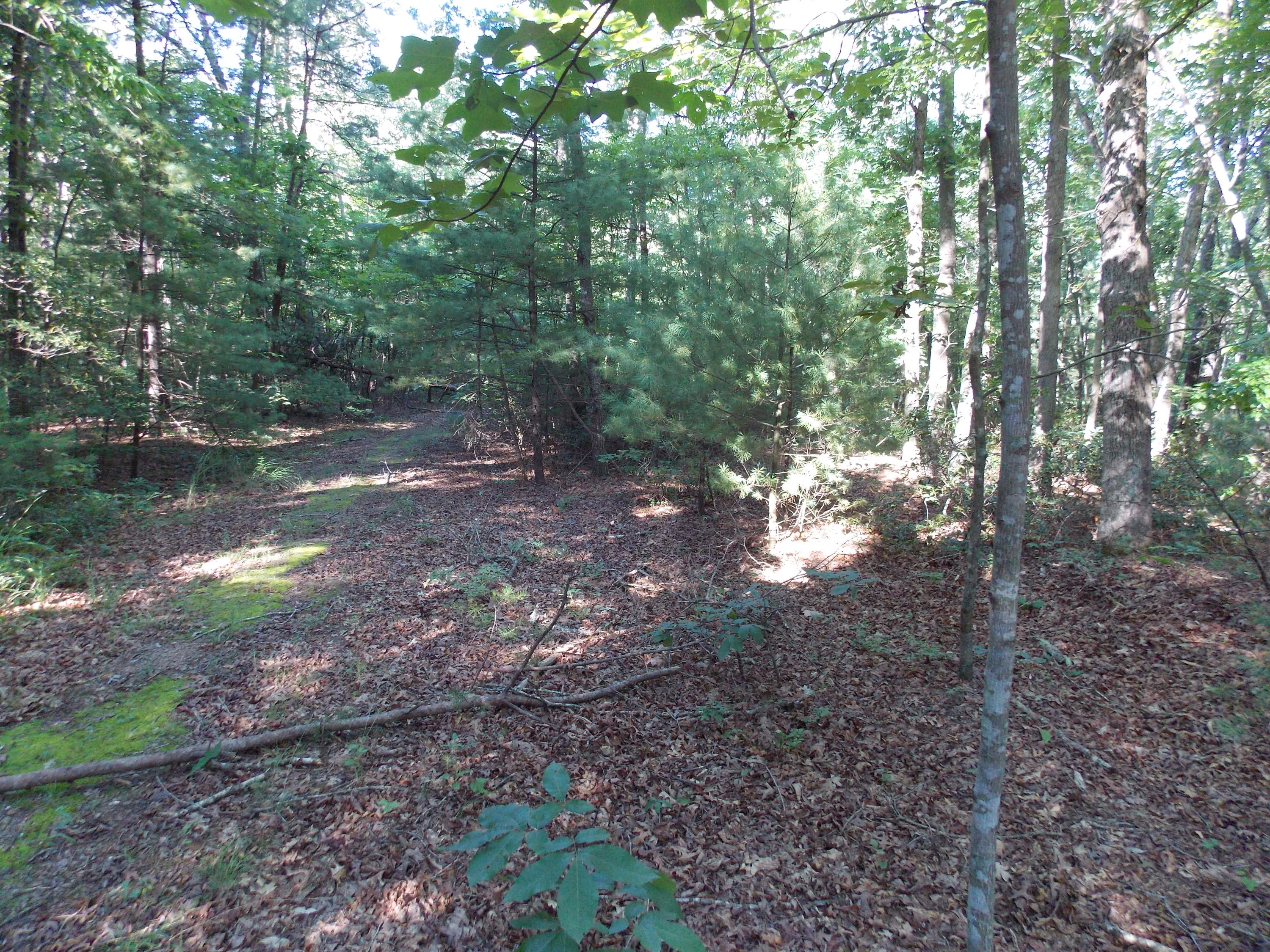 0 Union Church Road Ferrum, VA 24088 - Photo 16 of 33 DSCN9734