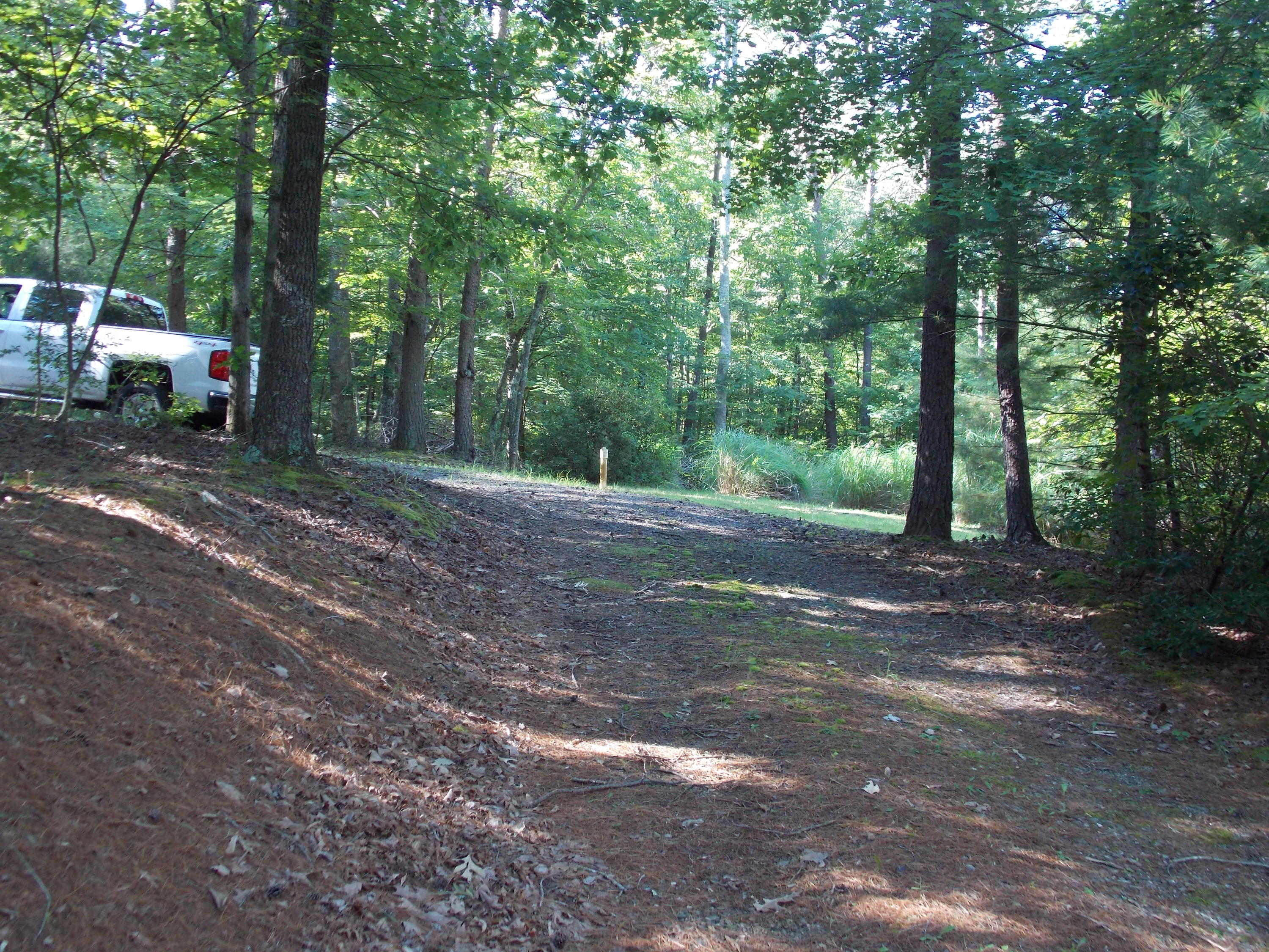 0 Union Church Road Ferrum, VA 24088 - Photo 20 of 33 DSCN9740