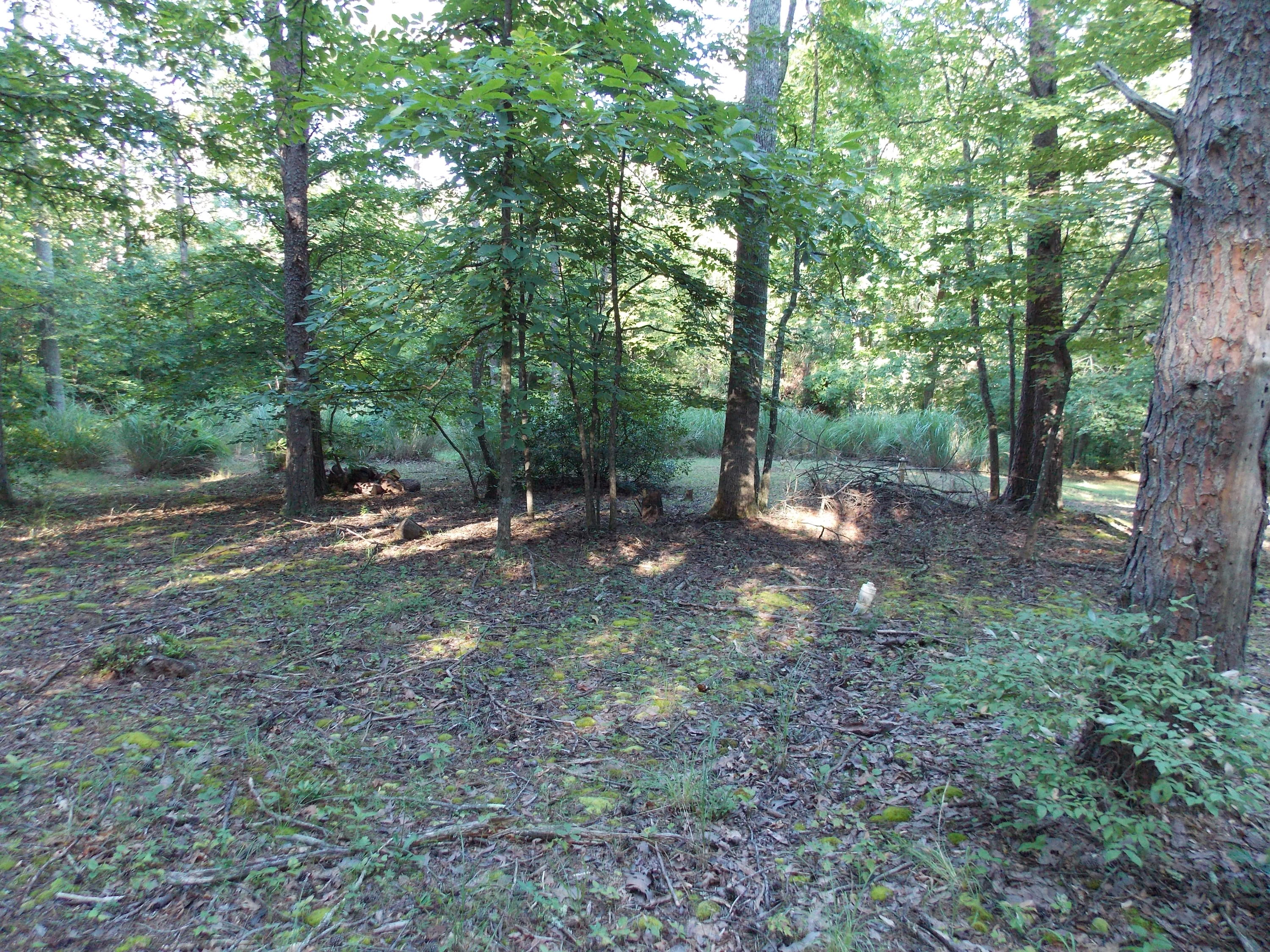 0 Union Church Road Ferrum, VA 24088 - Photo 9 of 33 DSCN9726