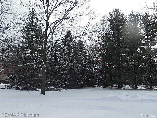 6046 Cedar Lake Road Pinckney, MI 48169 - Photo 36 of 36 36.jpg