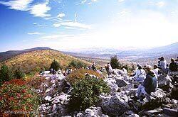 128 East Broad Street Tamaqua, PA 18252 - Photo 72 of 86 things_to_do-birding