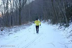 $479,900 | 128 East Broad Street, Tamaqua, PA 18252