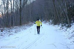 128 East Broad Street Tamaqua, PA 18252 - Photo 73 of 86 skier-250x166