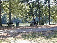 128 East Broad Street Tamaqua, PA 18252 - Photo 78 of 86 things_to_do-picnicking