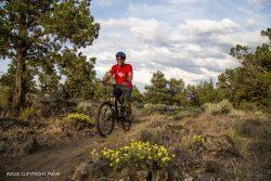 128 East Broad Street Tamaqua, PA 18252 - Photo 80 of 86 29819167363_d2d3d6d621_b-250x167