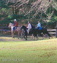 128 East Broad Street Tamaqua, PA 18252 - Photo 81 of 86 things_to_do-horseback