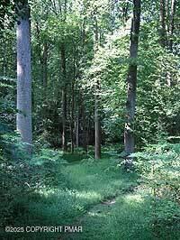 128 East Broad Street Tamaqua, PA 18252 - Photo 82 of 86 things_to_do-hiking