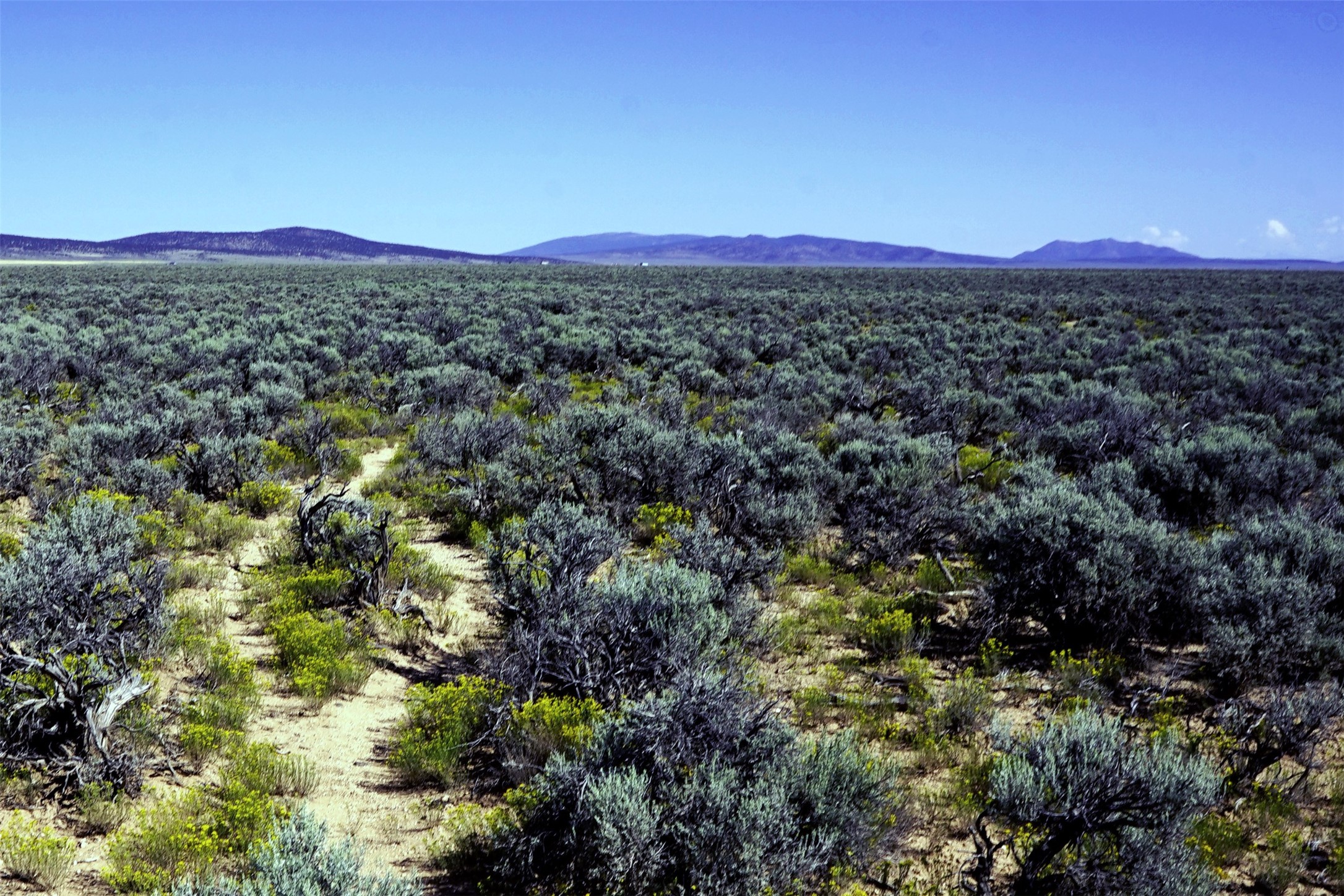 Xx Xx County Road Carson, NM 87517 - Photo 8 of 12