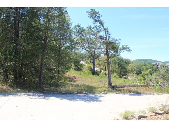1 Deer Ridge Drive Reeds Spring, MO 65737 - Photo 1 of 1 Primary Photo