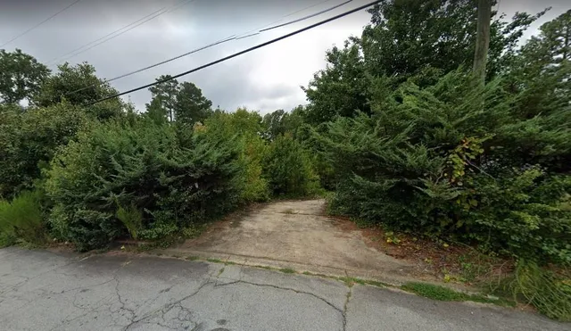 a view of a yard with a tree
