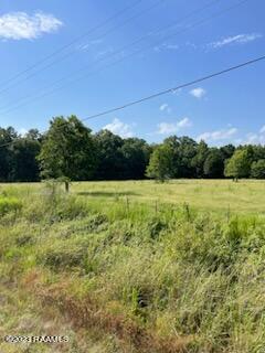 0 Kennerson Road Opelousas, LA 70570 - Photo 6 of 8 Gallery Image 6