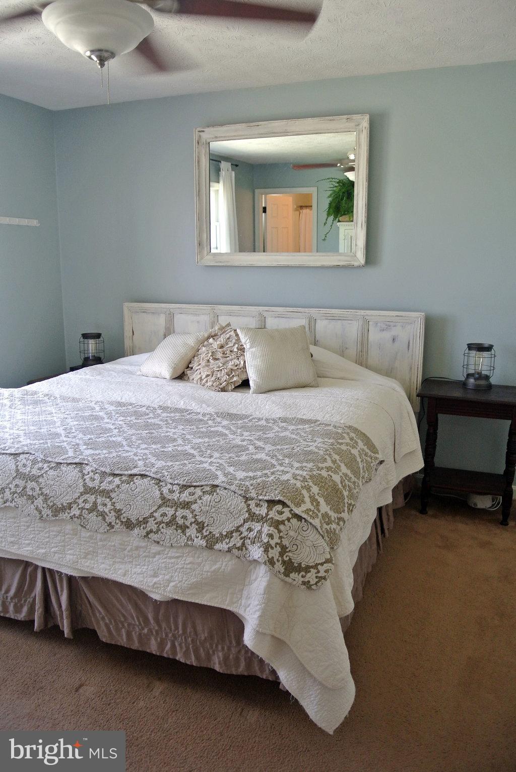 376 Goosemar Road Rising Sun, MD 21911 - Photo 18 of 23 Bath (Master)