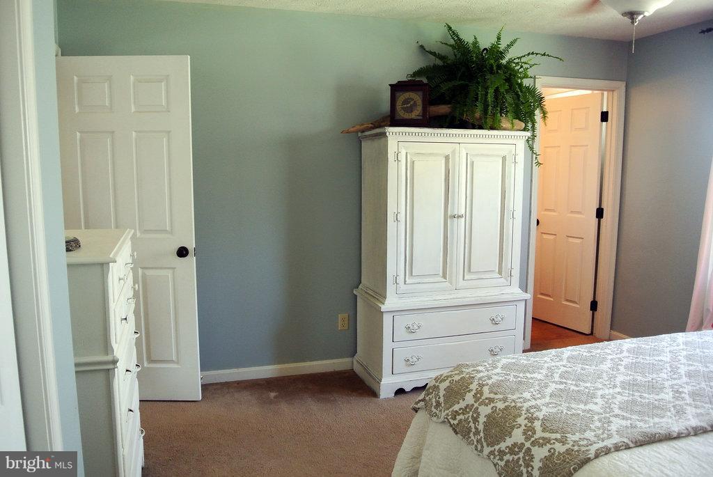 376 Goosemar Road Rising Sun, MD 21911 - Photo 19 of 23 Bath (Master)