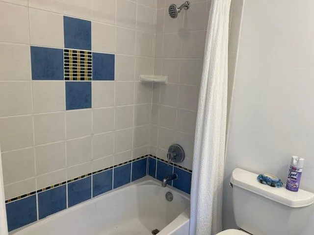 a bathroom with a bathtub and a toilet