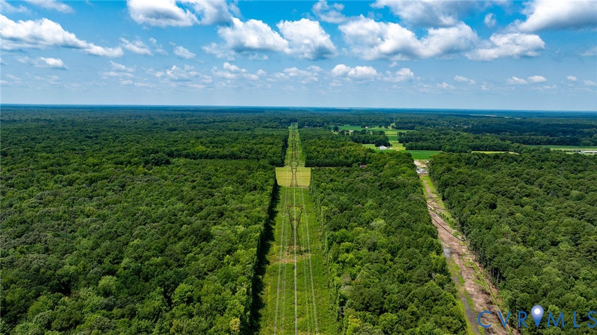 663.8-acres Peach Road Chesapeake, VA 23321 - Photo 18 of 46 Gallery Image 18