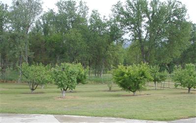 36321 East Kings Canyon Road Dunlap, CA 93621 - Photo 14 of 16 Gallery Image 14
