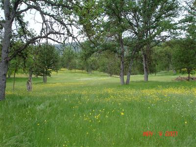 36321 East Kings Canyon Road Dunlap, CA 93621 - Photo 7 of 16 Gallery Image 7