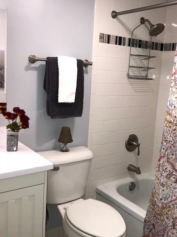 1102 Springinsguth Road, Unit 1A Schaumburg, IL 60193 - Photo 12 of 14 a bathroom with a sink a toilet and mirror