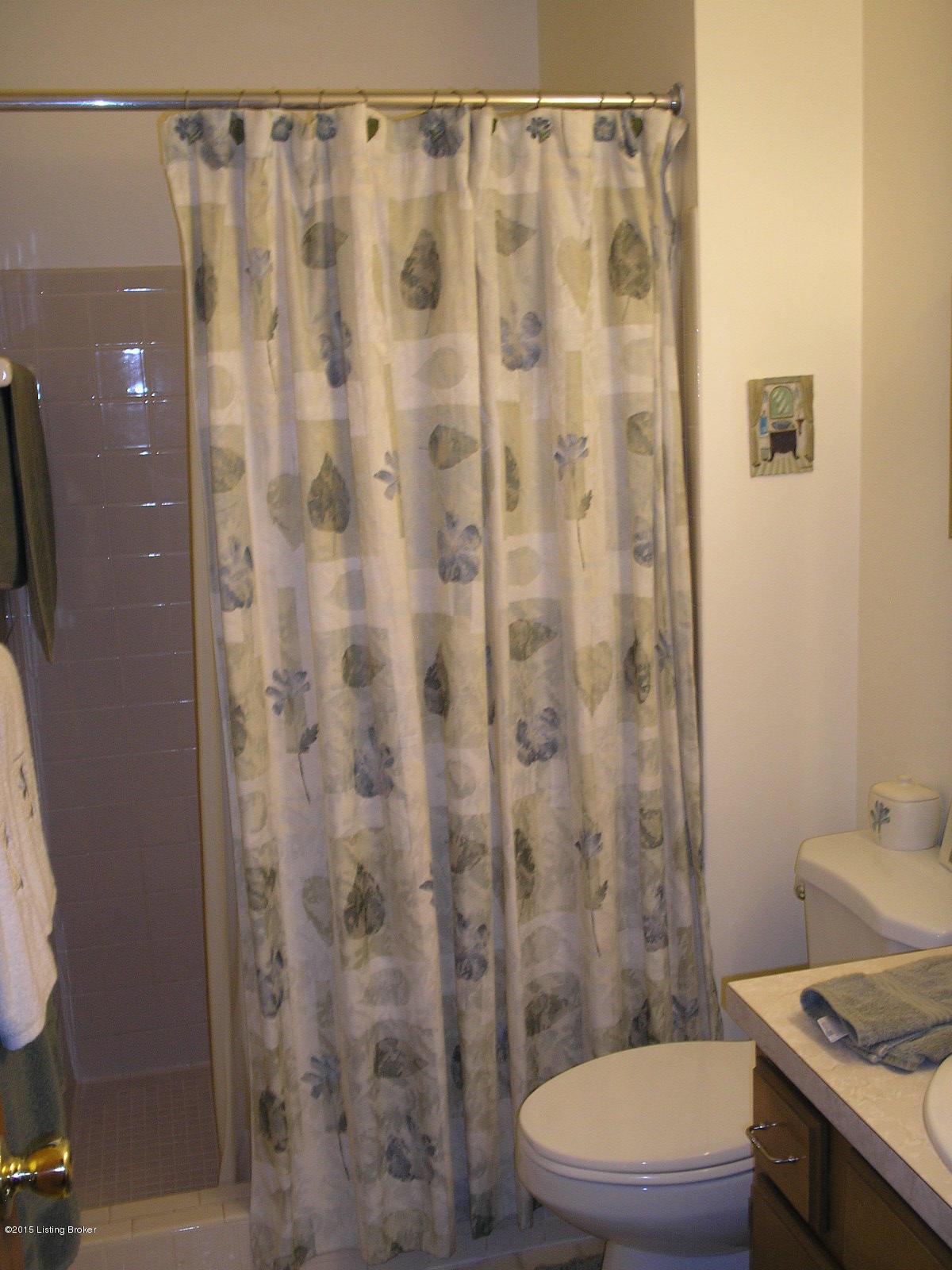 2606 Wareham Road Louisville, KY 40242 - Photo 27 of 34 Master Bathroom view.JPG