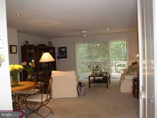 7 Ringfield Road Chadds Ford, PA 19317 - Photo 2 of 6 Gallery Image 2