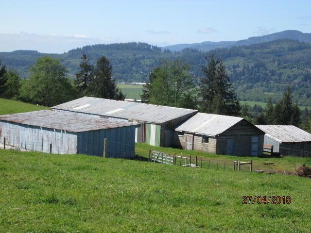 905 Blue Spruce Ridge Way Tillamook, OR 97141 - Photo 3 of 16 IMG_8413