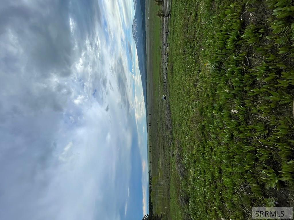 5126 East Rees Drive Island Park, ID 83429 - Photo 4 of 7