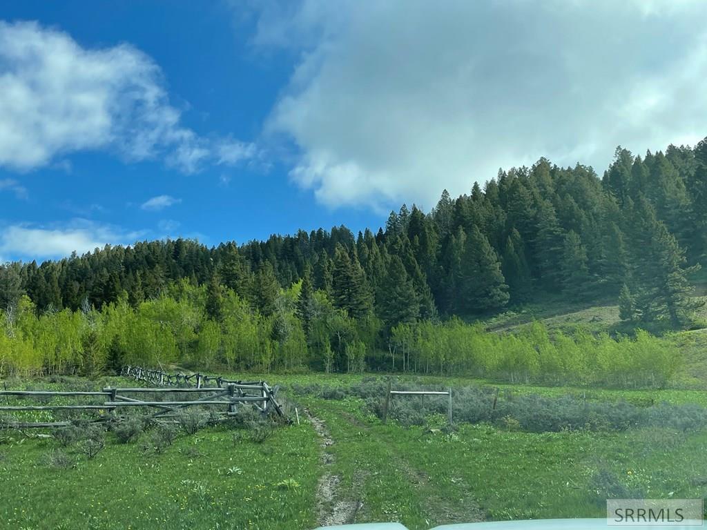 5126 East Rees Drive Island Park, ID 83429 - Photo 6 of 7