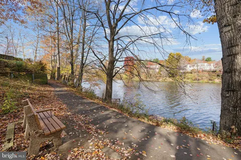 a view of yard with trees