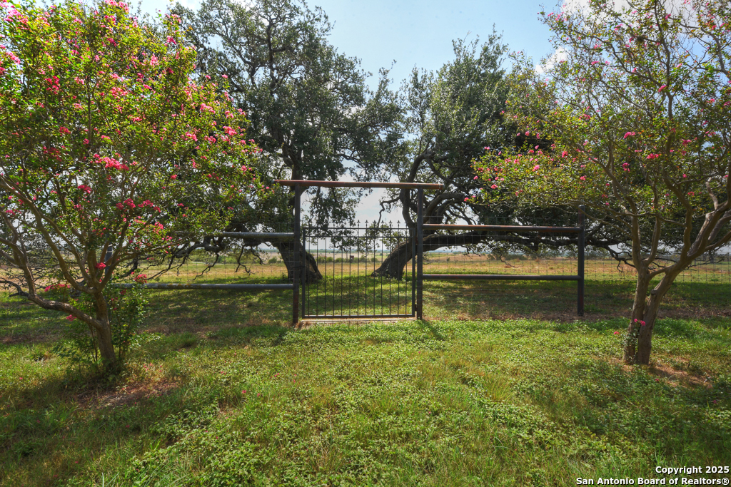 6887 Von Ormy Road Von Ormy, TX 78073 - Photo 36 of 50