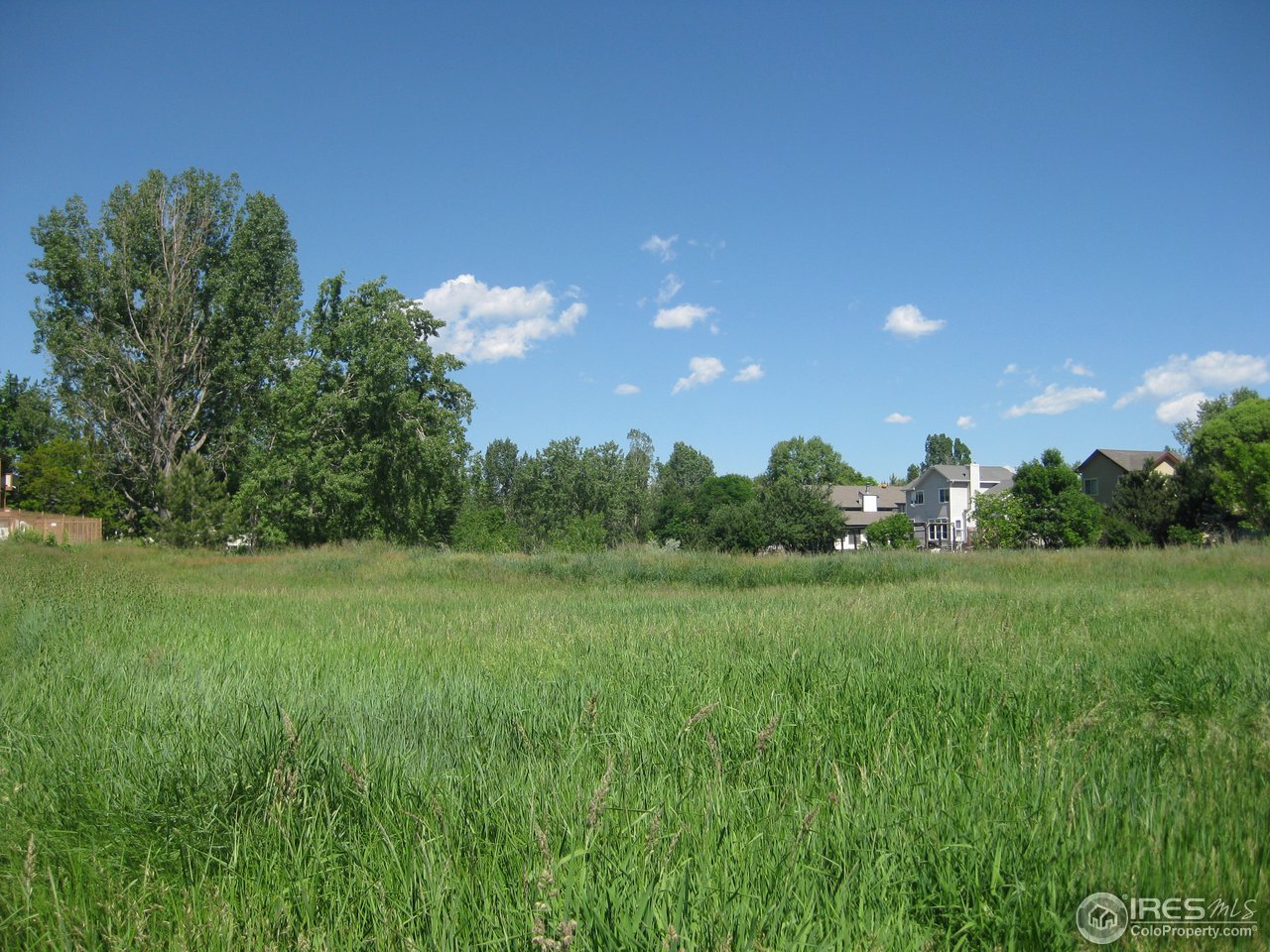 6616 Kalua Road Boulder, CO 80301 - Photo 14 of 18 a view of a lush green space